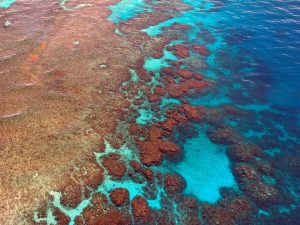 great-barrier-reef